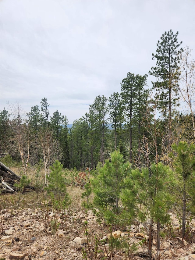14 Aventure Loop, Lead, SD 57754