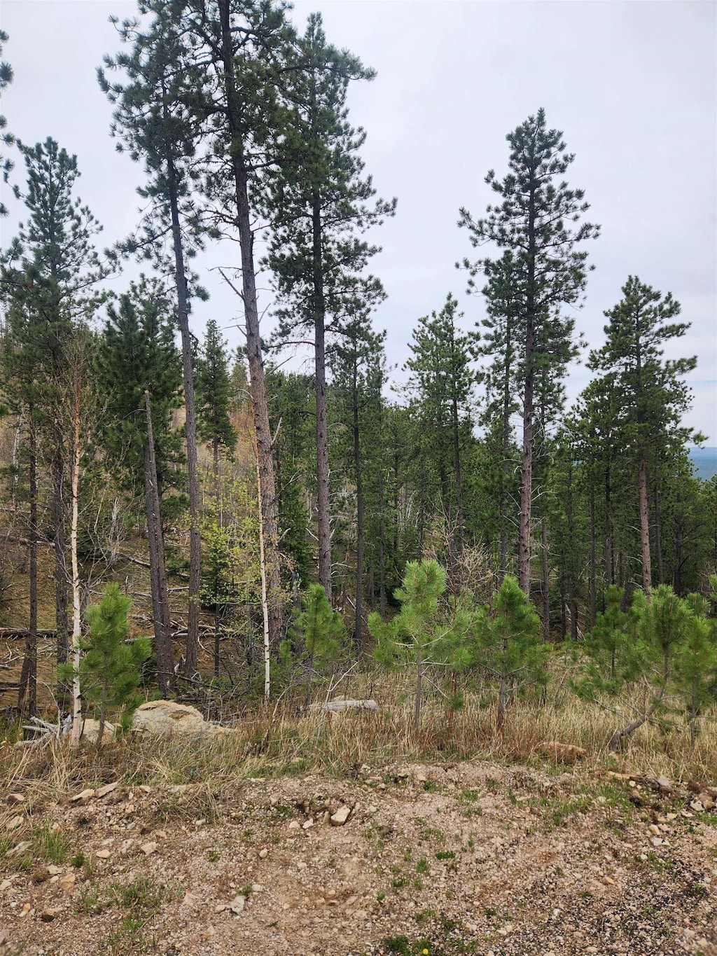 14 Aventure Loop, Lead, SD 57754