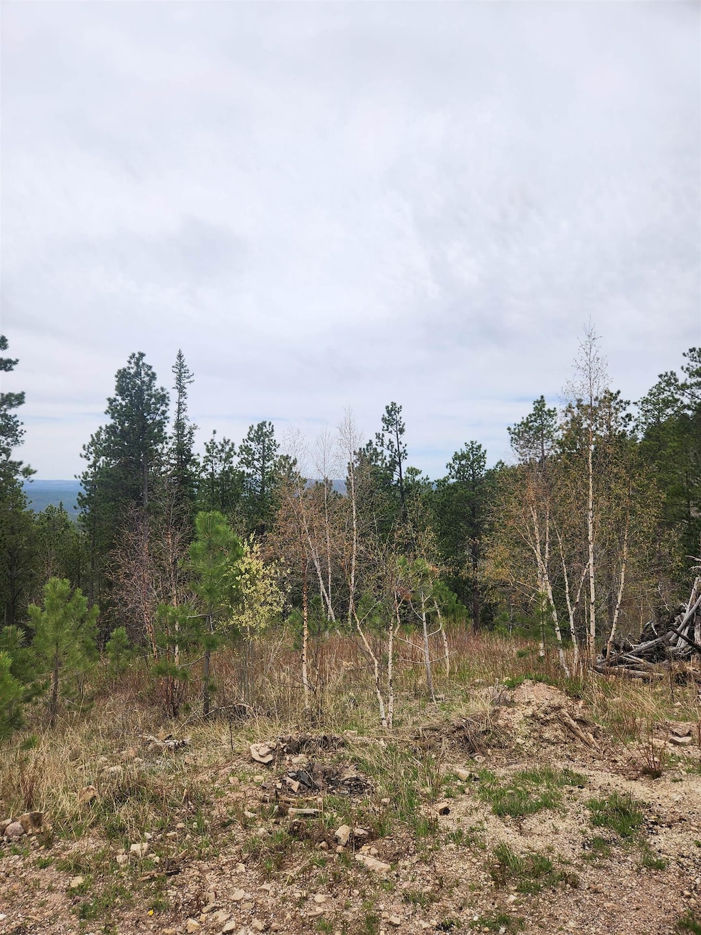 14 Aventure Loop, Lead, SD 57754