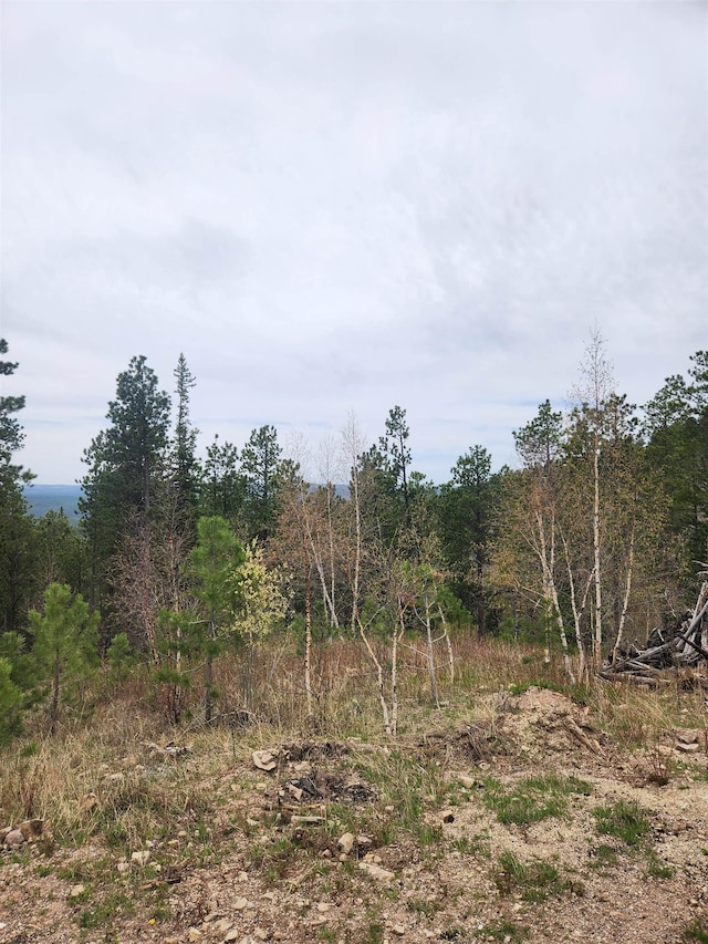 14 Aventure Loop, Lead, SD 57754