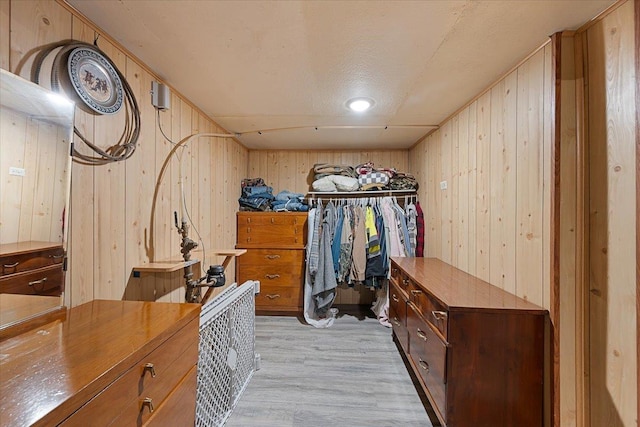24 Mckinley St, Deadwood, SD 57732 - walk in closet featuring light wood-type flooring