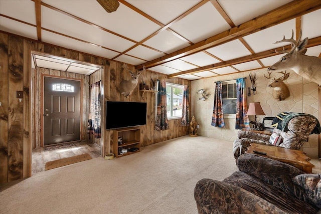 24 Mckinley St, Deadwood, SD 57732 - carpeted living area featuring wood walls