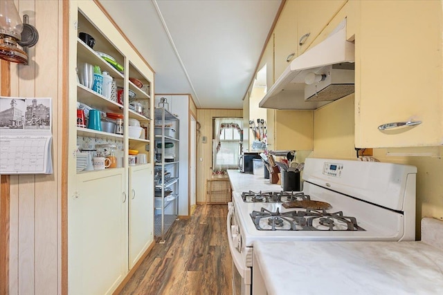 24 Mckinley St, Deadwood, SD 57732 - kitchen featuring white gas range, under cabinet range hood, dark wood-type flooring, light countertops, and stainless steel microwave
