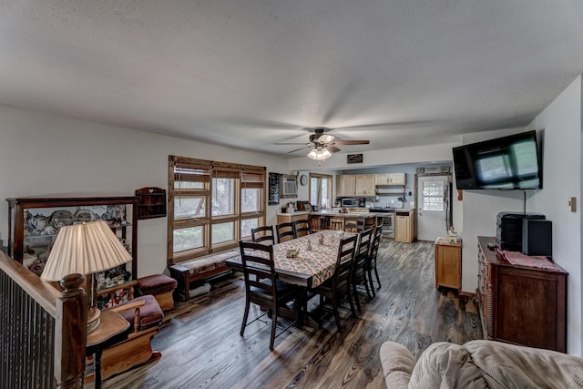 12944 Larene Dr, Black Hawk, SD 57718 - dining space featuring dark wood-type flooring, healthy amount of natural light, a ceiling fan, and a textured ceiling
