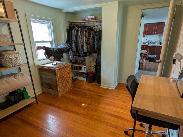 spacious closet with light wood-type flooring