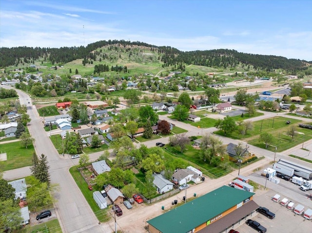 aerial perspective of suburban area with a heavily wooded area