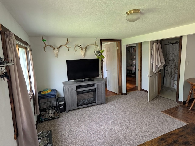 living room featuring a textured ceiling and wood finished floors
