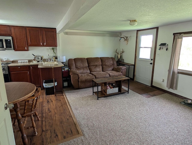 living area featuring a textured ceiling and wood finished floors