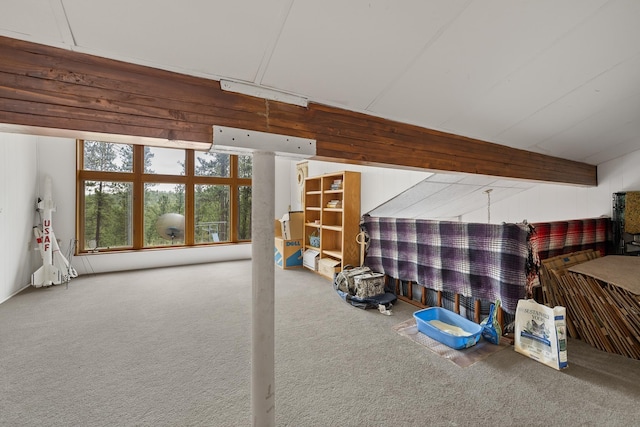 24227 Pine Grove Rd, Rapid City, SD 57702 - basement featuring carpet flooring and wooden walls