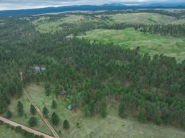 24227 Pine Grove Rd, Rapid City, SD 57702 - view of property location with a mountainous background and a heavily wooded area