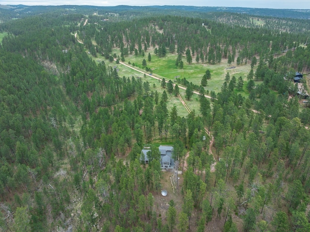 24227 Pine Grove Rd, Rapid City, SD 57702 - view of property location with a forest
