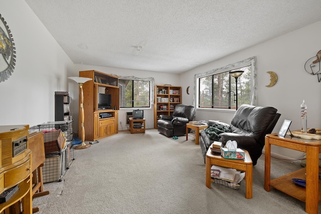 24227 Pine Grove Rd, Rapid City, SD 57702 - living area with light colored carpet and a textured ceiling