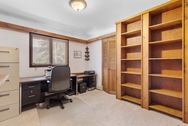 22994 Shields Rd, Rapid City, SD 57702 - office with light colored carpet