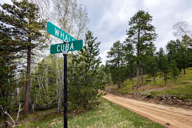 11821 Whale Rd, Deadwood, SD 57732