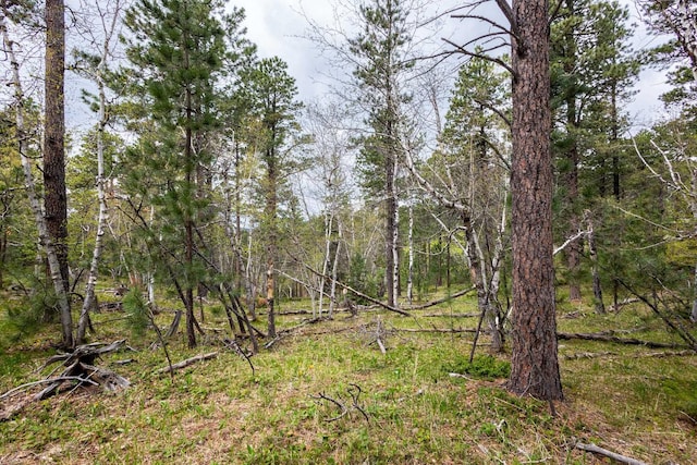 11821 Whale Rd, Deadwood, SD 57732