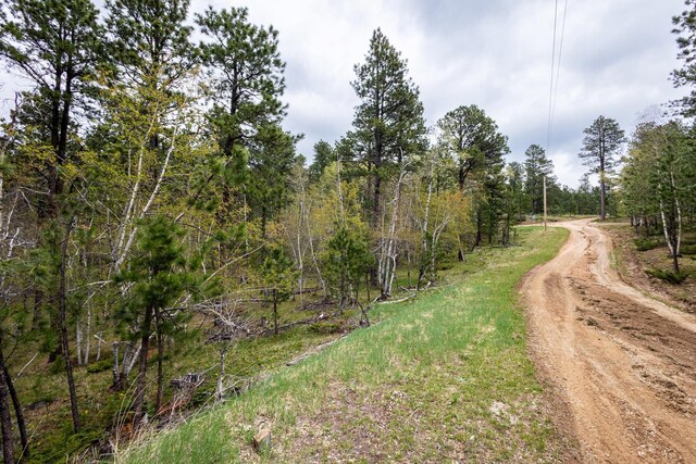 11821 Whale Rd, Deadwood, SD 57732