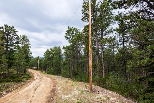 11821 Whale Rd, Deadwood, SD 57732