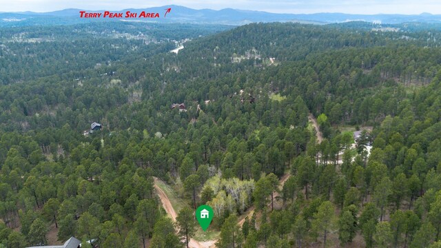 11821 Whale Rd, Deadwood, SD 57732
