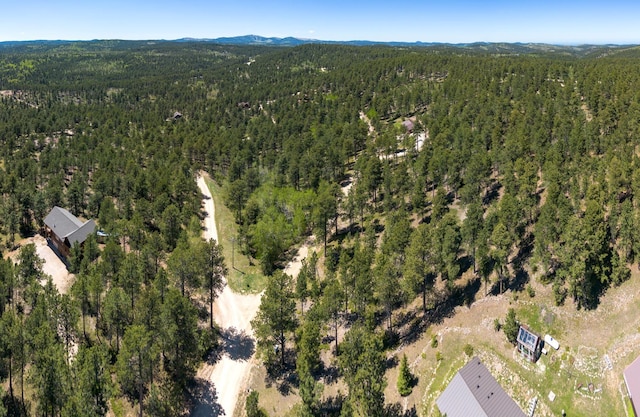 11821 Whale Rd, Deadwood, SD 57732