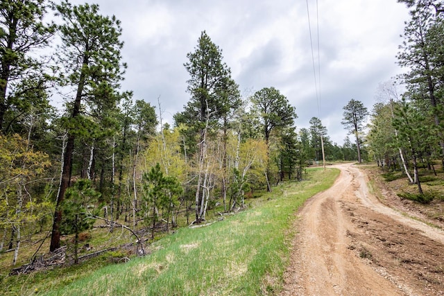 11821 Whale Rd, Deadwood, SD 57732