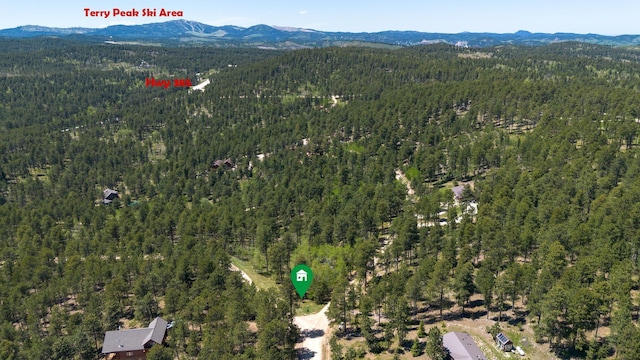 11821 Whale Rd, Deadwood, SD 57732