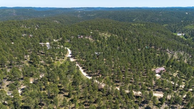 11821 Whale Rd, Deadwood, SD 57732