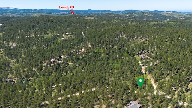 11821 Whale Rd, Deadwood, SD 57732