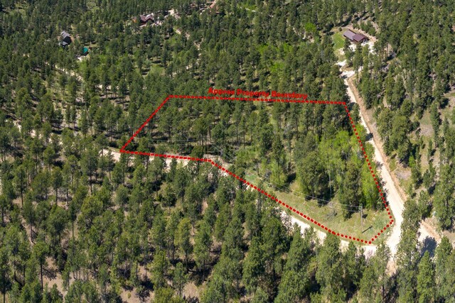 11821 Whale Rd, Deadwood, SD 57732