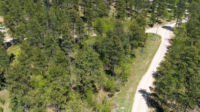 11821 Whale Rd, Deadwood, SD 57732