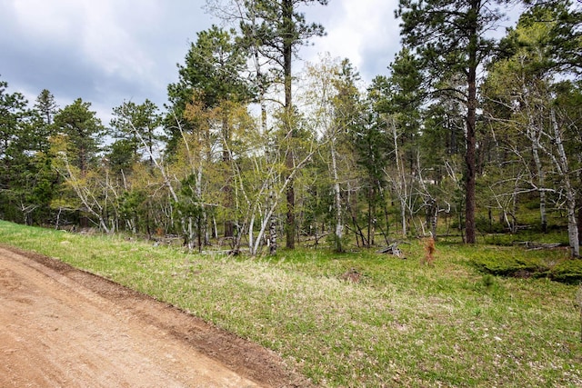 11821 Whale Rd, Deadwood, SD 57732