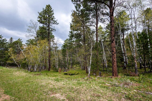 11821 Whale Rd, Deadwood, SD 57732