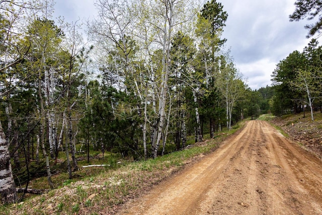 11821 Whale Rd, Deadwood, SD 57732
