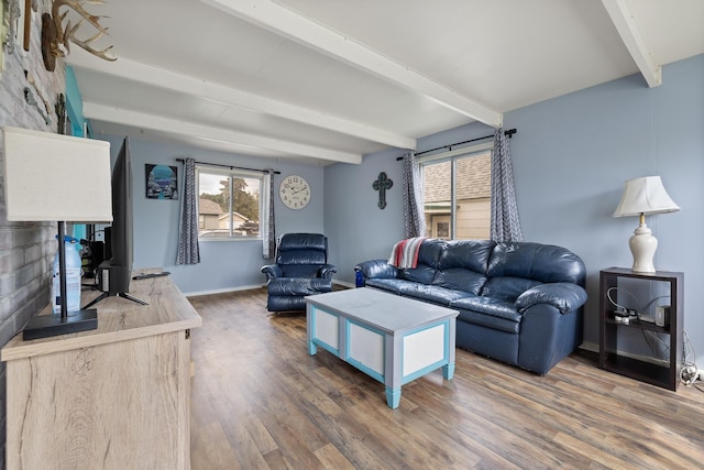 2101 Juniper Dr, Rapid City, SD 57702 - living room featuring beam ceiling, plenty of natural light, wood finished floors, and baseboards