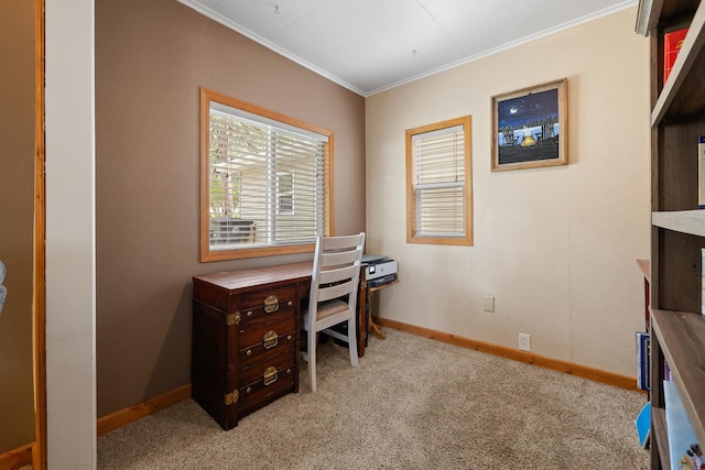 123 Gordon St, Custer, SD 57730 - office featuring ornamental molding, light carpet, and baseboards