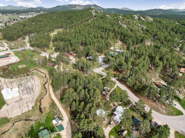 123 Gordon St, Custer, SD 57730 - view of property location with a heavily wooded area and a mountain backdrop
