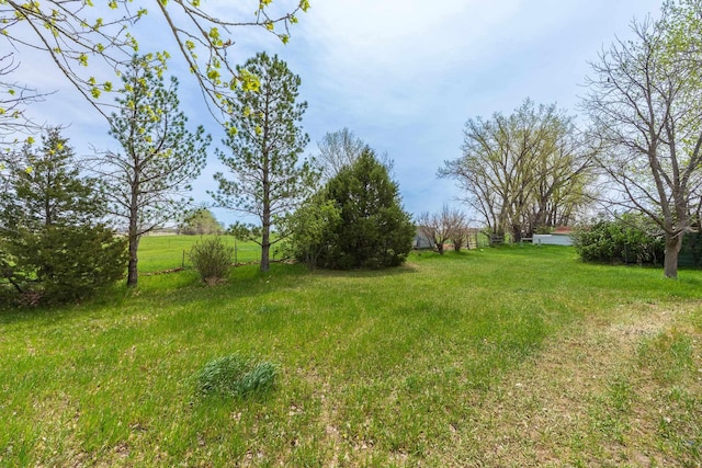 15630 Antelope Creek Rd, Rapid City, SD 57703 - view of yard