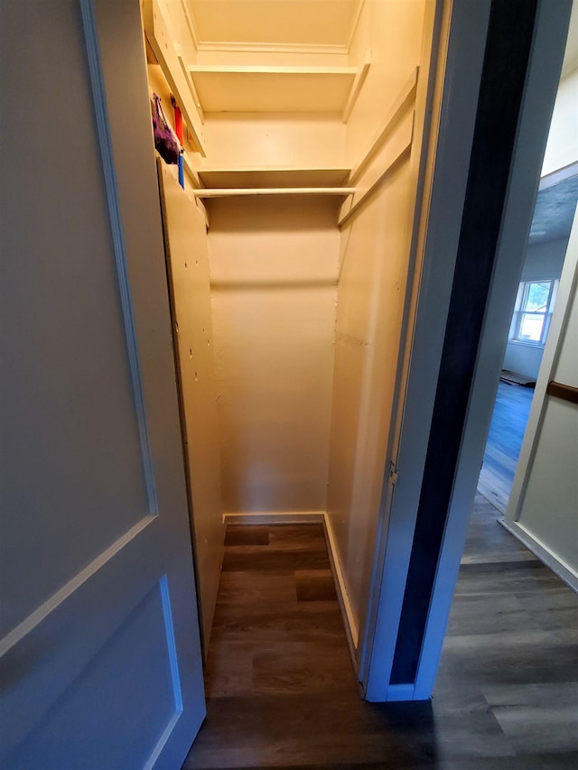 105 N Washington St, Edgemont, SD 57735 - walk in closet featuring dark wood-style floors