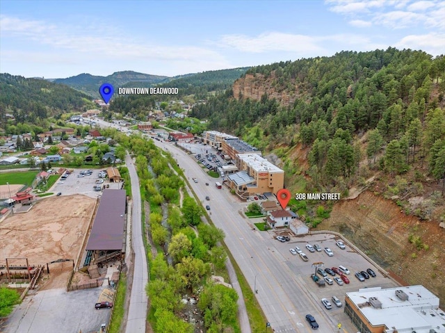 308 Main St, Deadwood, SD 57732 - drone / aerial view of mountains and a heavily wooded area