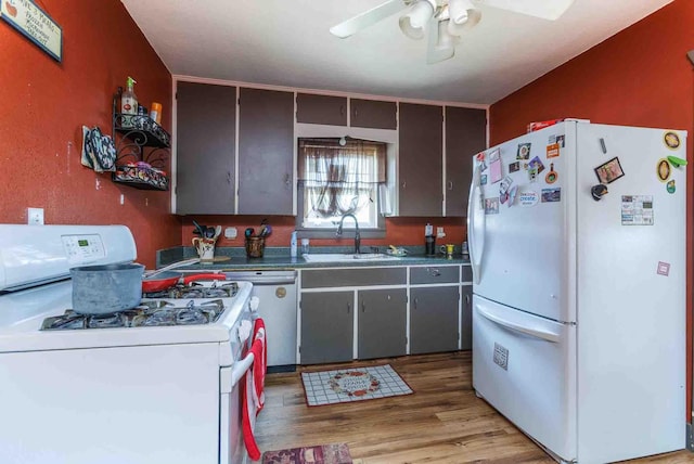 1007 Elkhorn St, Belle Fourche, SD 57717 - kitchen with white appliances, a sink, ceiling fan, light wood-type flooring, and gray cabinets