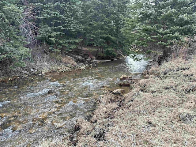 11755 Rochford Rd, Hill City, SD 57745