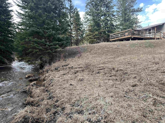 11755 Rochford Rd, Hill City, SD 57745