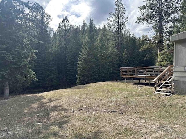 11755 Rochford Rd, Hill City, SD 57745