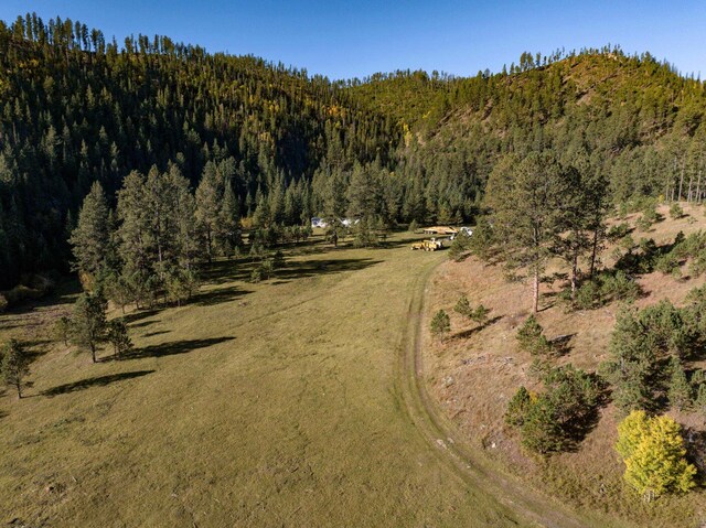 11755 Rochford Rd, Hill City, SD 57745