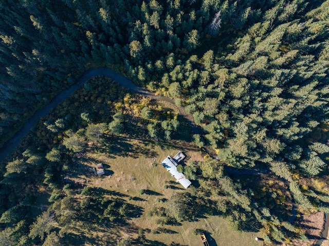11755 Rochford Rd, Hill City, SD 57745