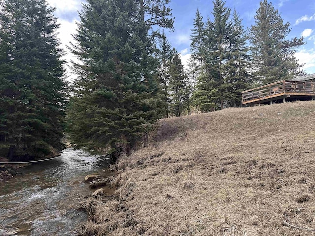 11755 Rochford Rd, Hill City, SD 57745