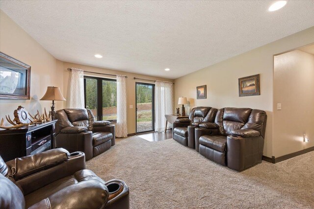 11132 Bogey Cir, Lead, SD 57754 - living room featuring carpet flooring, recessed lighting, and a textured ceiling