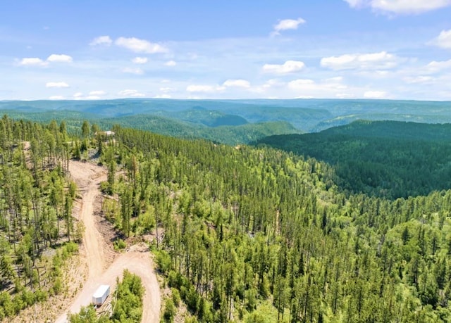 LOT11 Aventure Loop, Lead, SD 57754