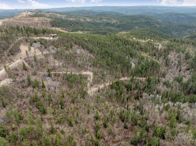 LOT11 Aventure Loop, Lead, SD 57754