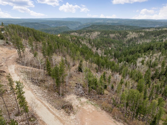 LOT11 Aventure Loop, Lead, SD 57754