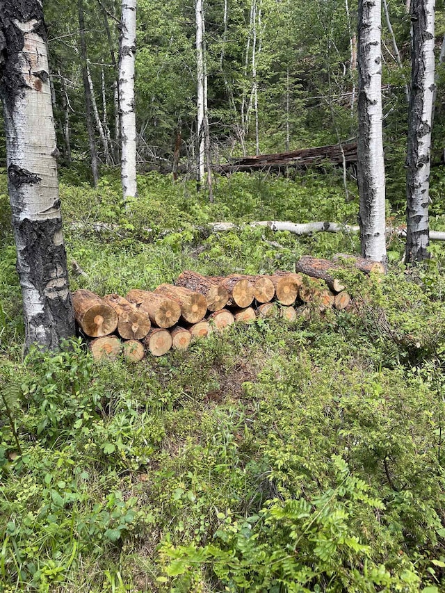 LOT11 Aventure Loop, Lead, SD 57754